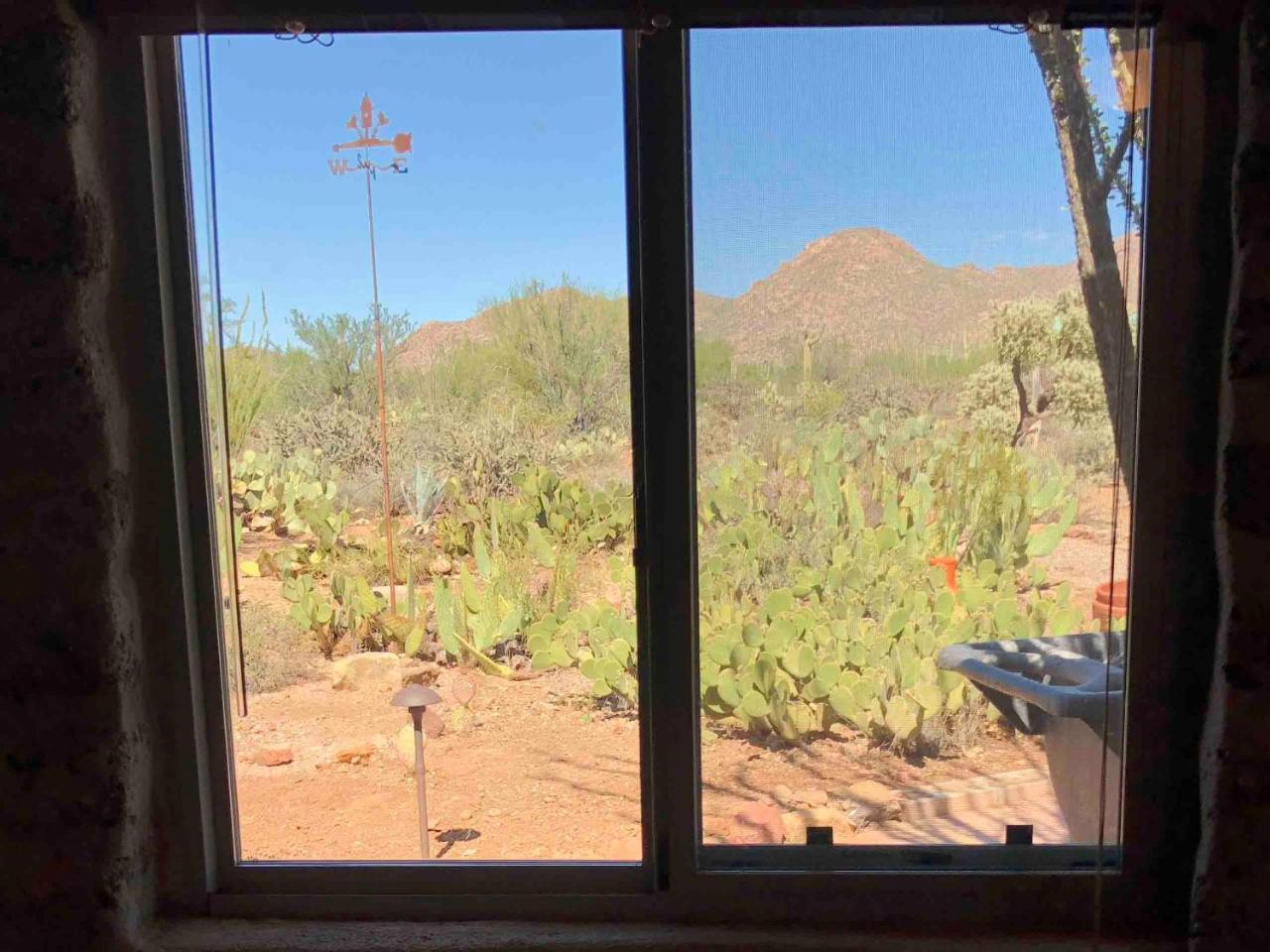 Casa Tierra Adobe Bed & Breakfast Avra 外观 照片